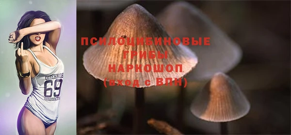сатива Баксан
