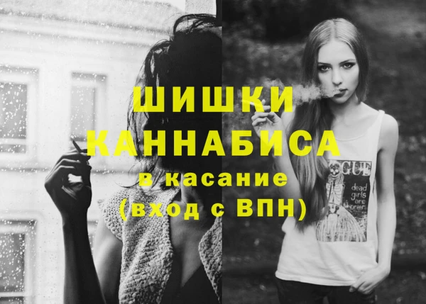 эйфоретик Аркадак