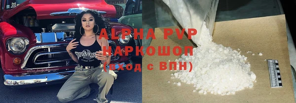 сатива Баксан