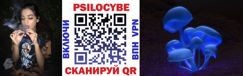 MEGA ссылки  купить   Цивильск  Галлюциногенные грибы мицелий 